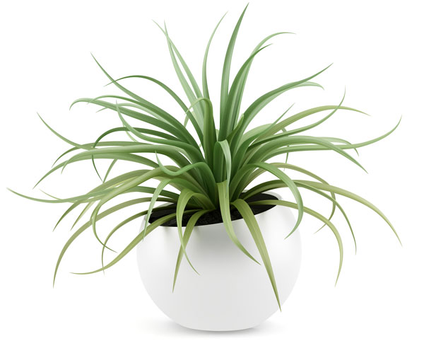 thewade-interior-plant